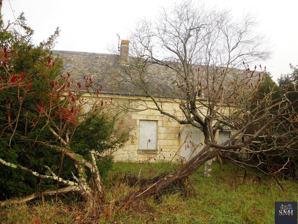 Maison LA CHAPELLE SUR LOIRE (37140) Agence SMI