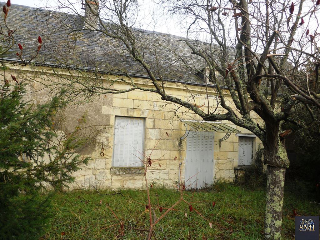 Maison LA CHAPELLE SUR LOIRE (37140) Agence SMI